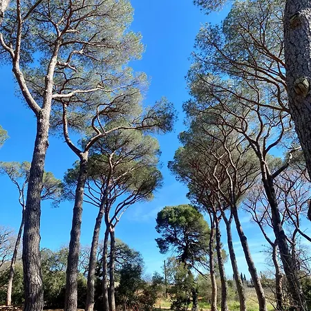 Chateau Du Parc - Gites & Spas A Pezenas Exterior photo