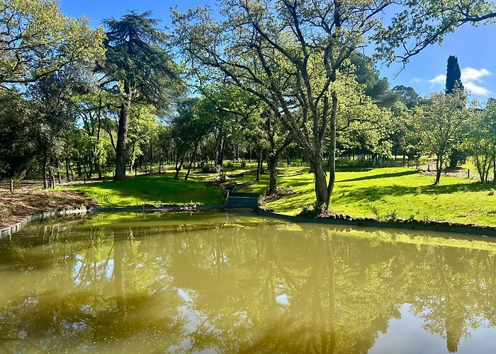 Chateau Du Parc - Gites & Spas A Pezenas