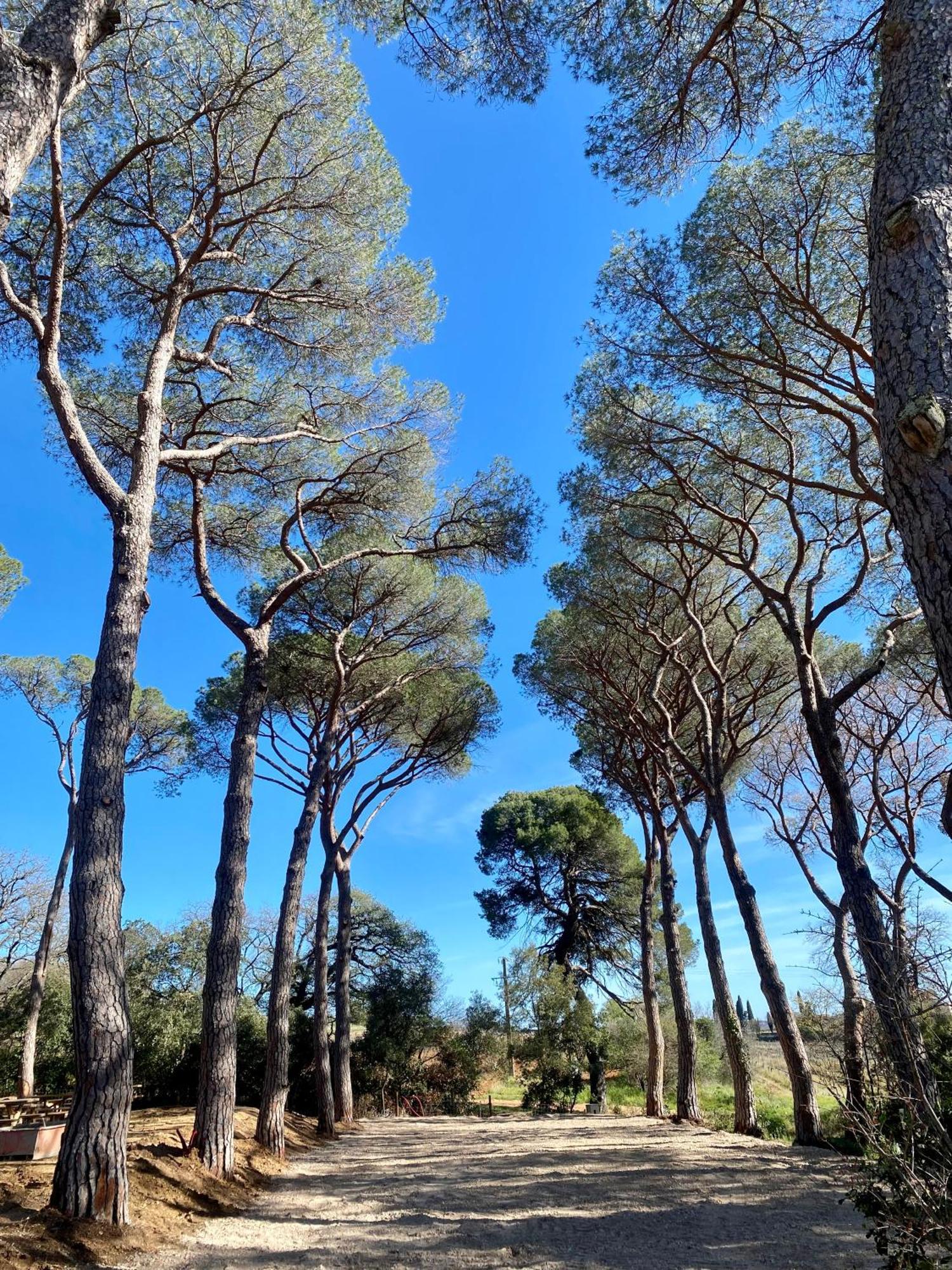 Apartment Chateau Du Parc - & Spas A Pezenas