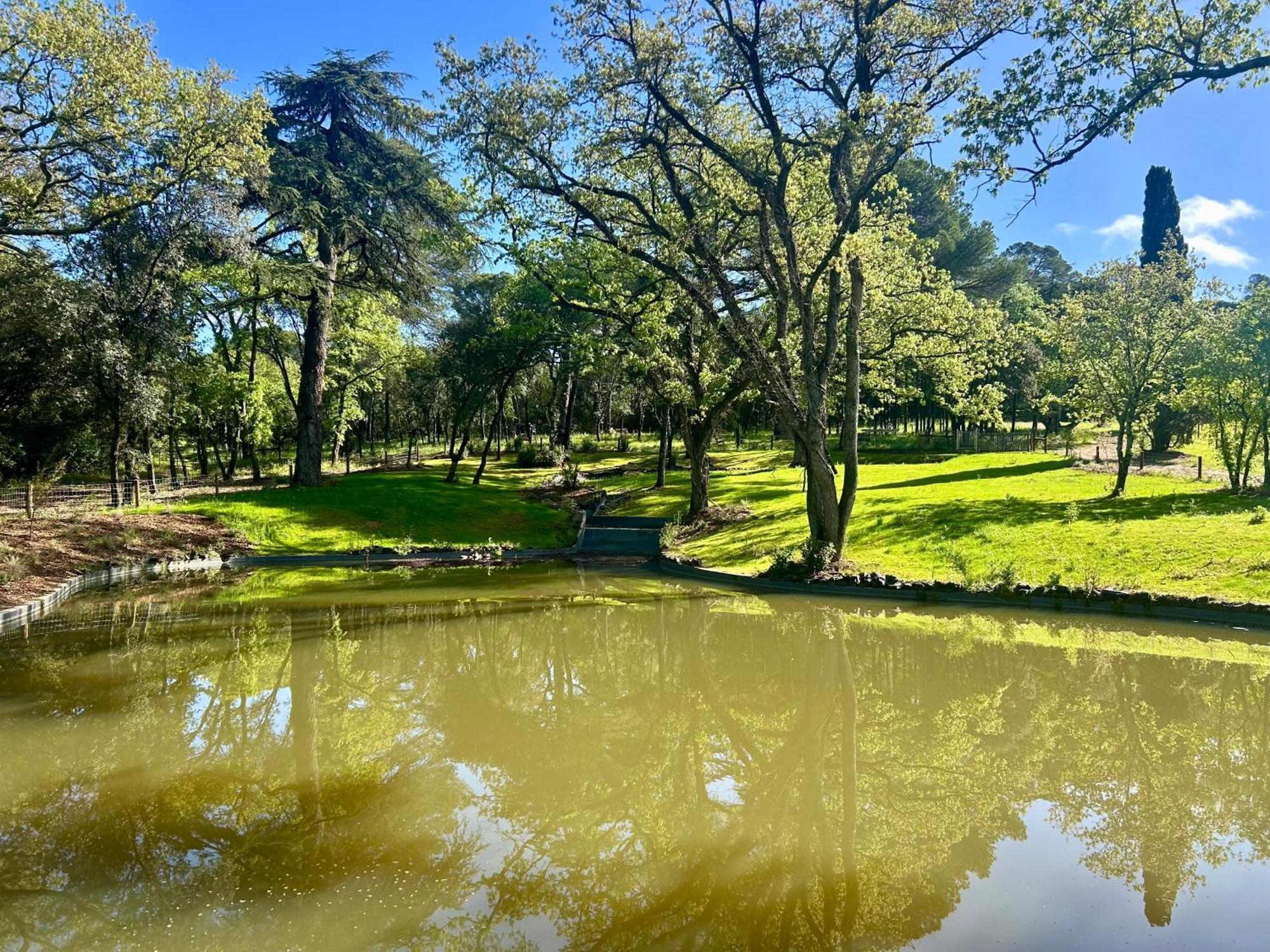 Chateau Du Parc - & Spas A Pézenas